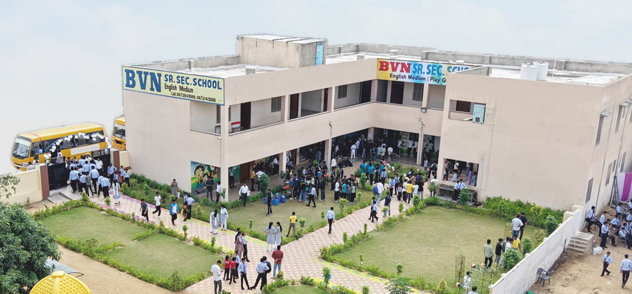 BVN School